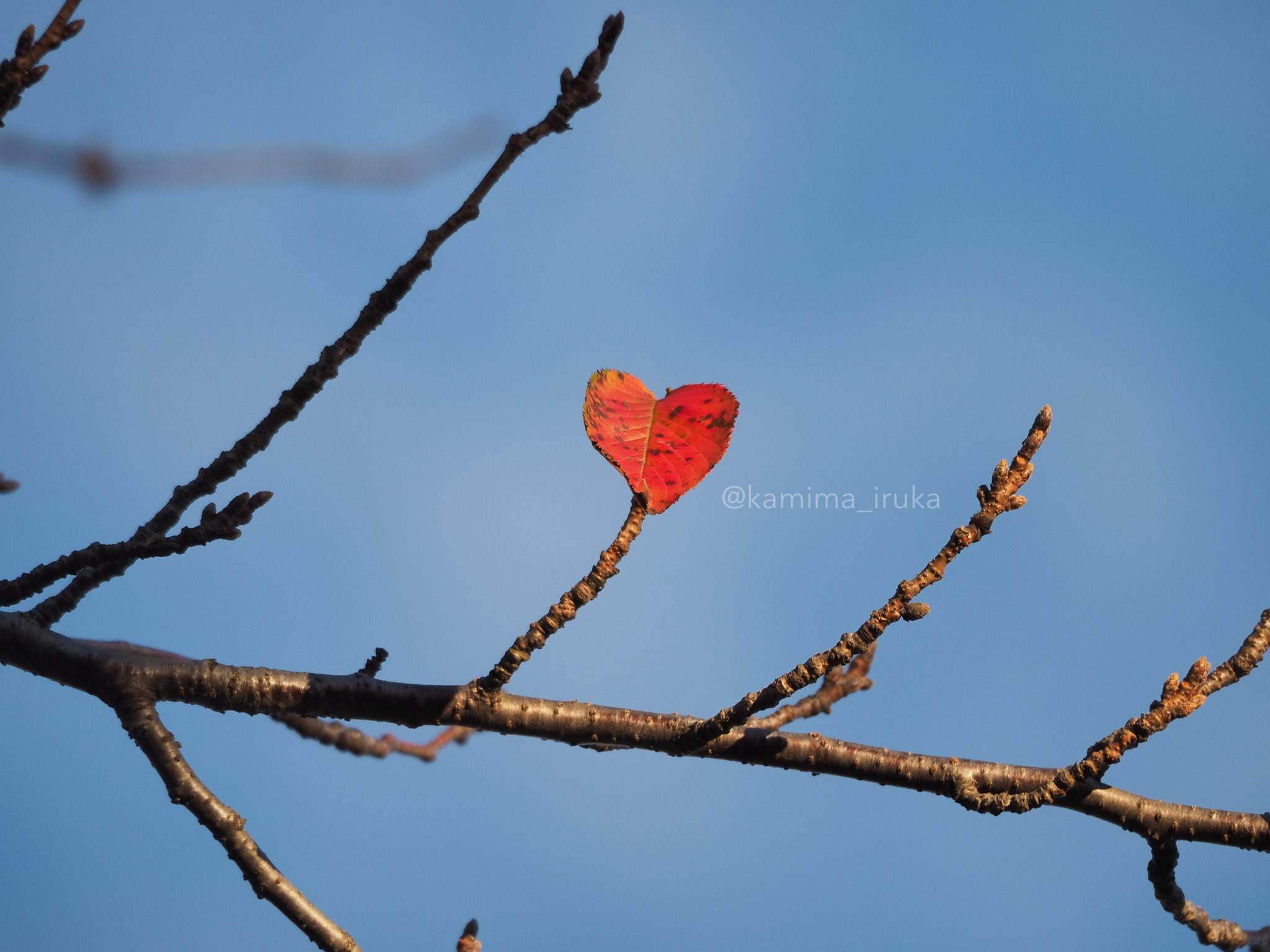 2023/10/22 あささんぽ