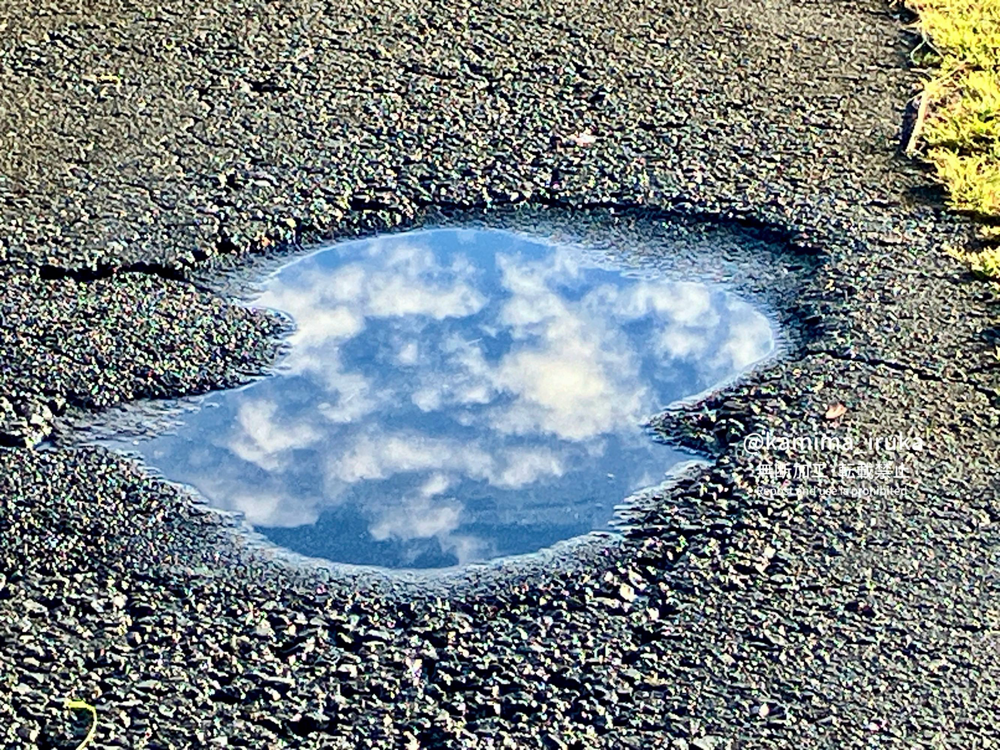 2024/08/17 あささんぽ