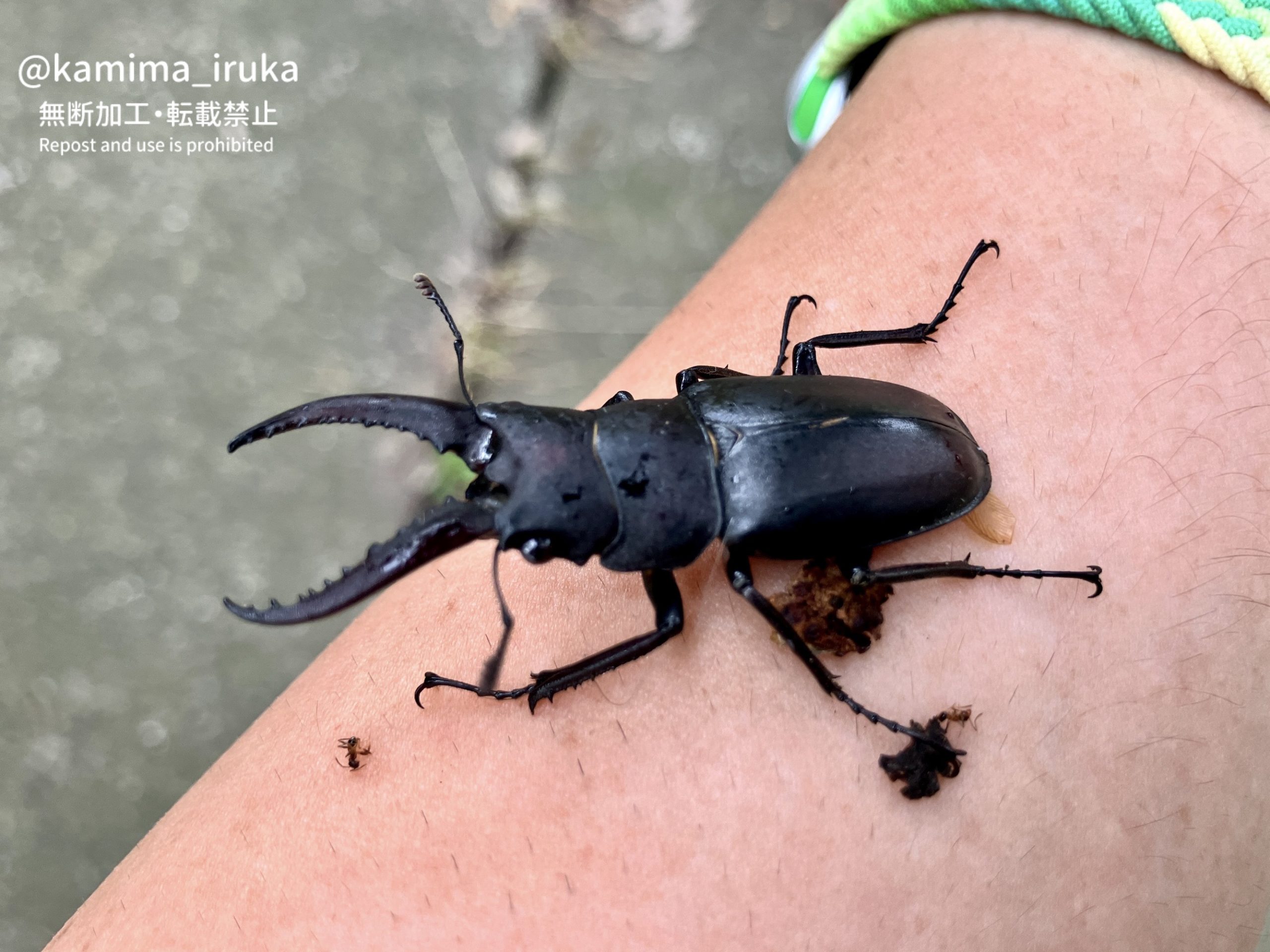 2024/08/03 あささんぽ