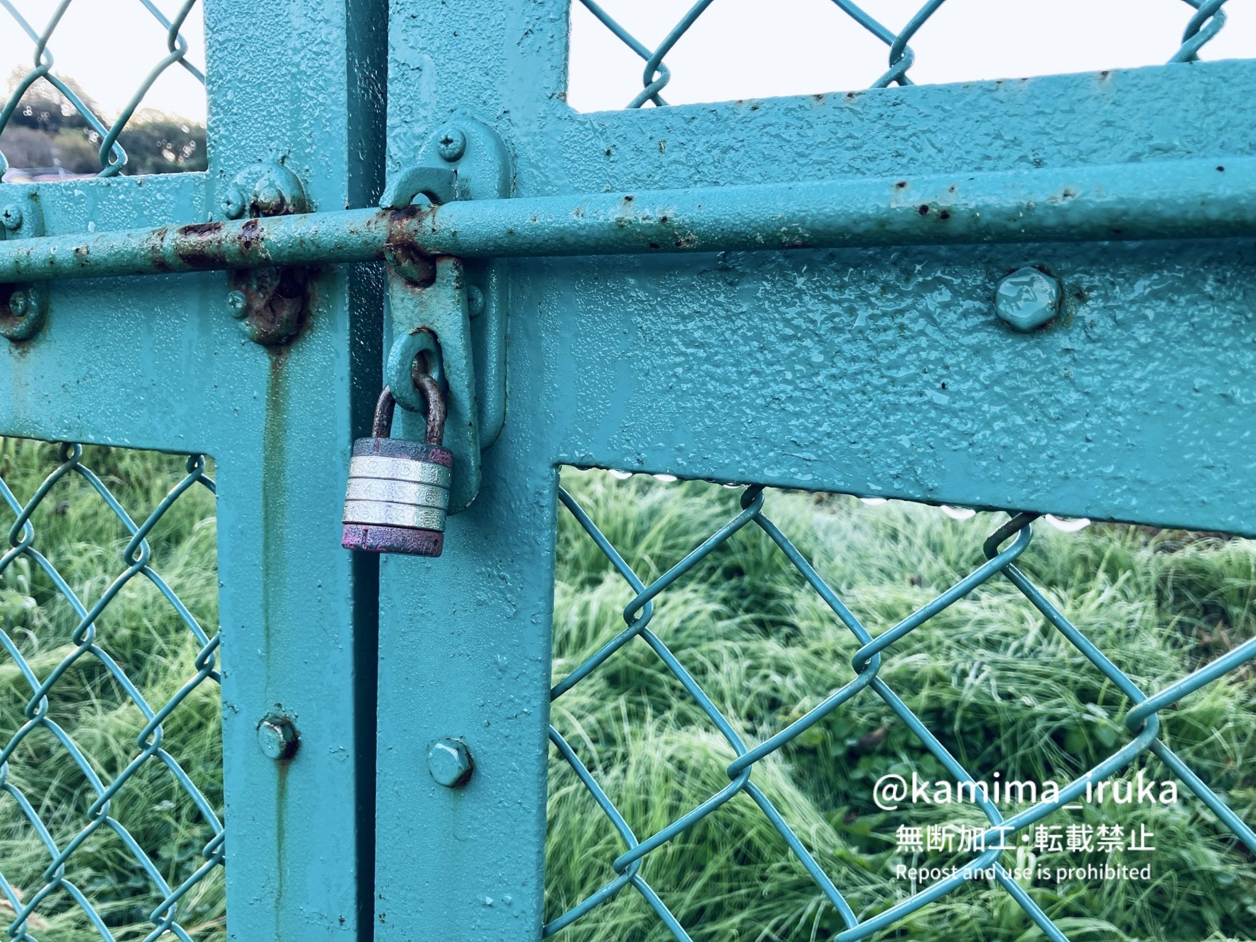 2024/11/13 あささんぽ