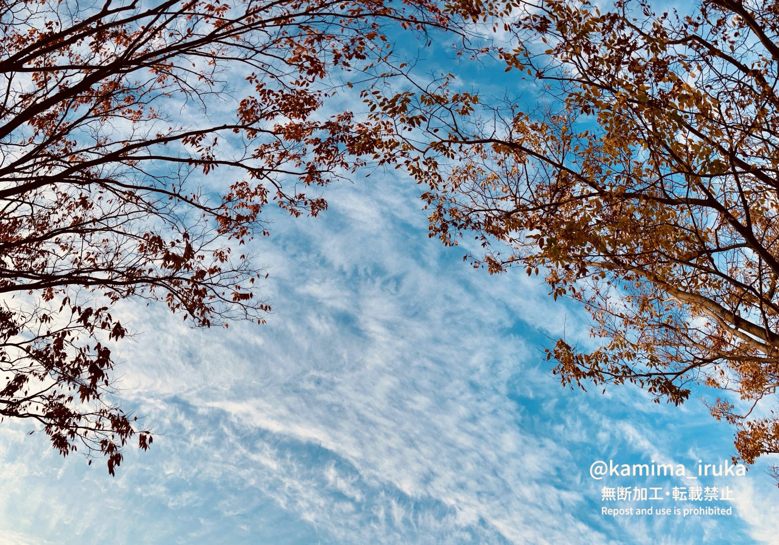 2024/12/04 あささんぽ