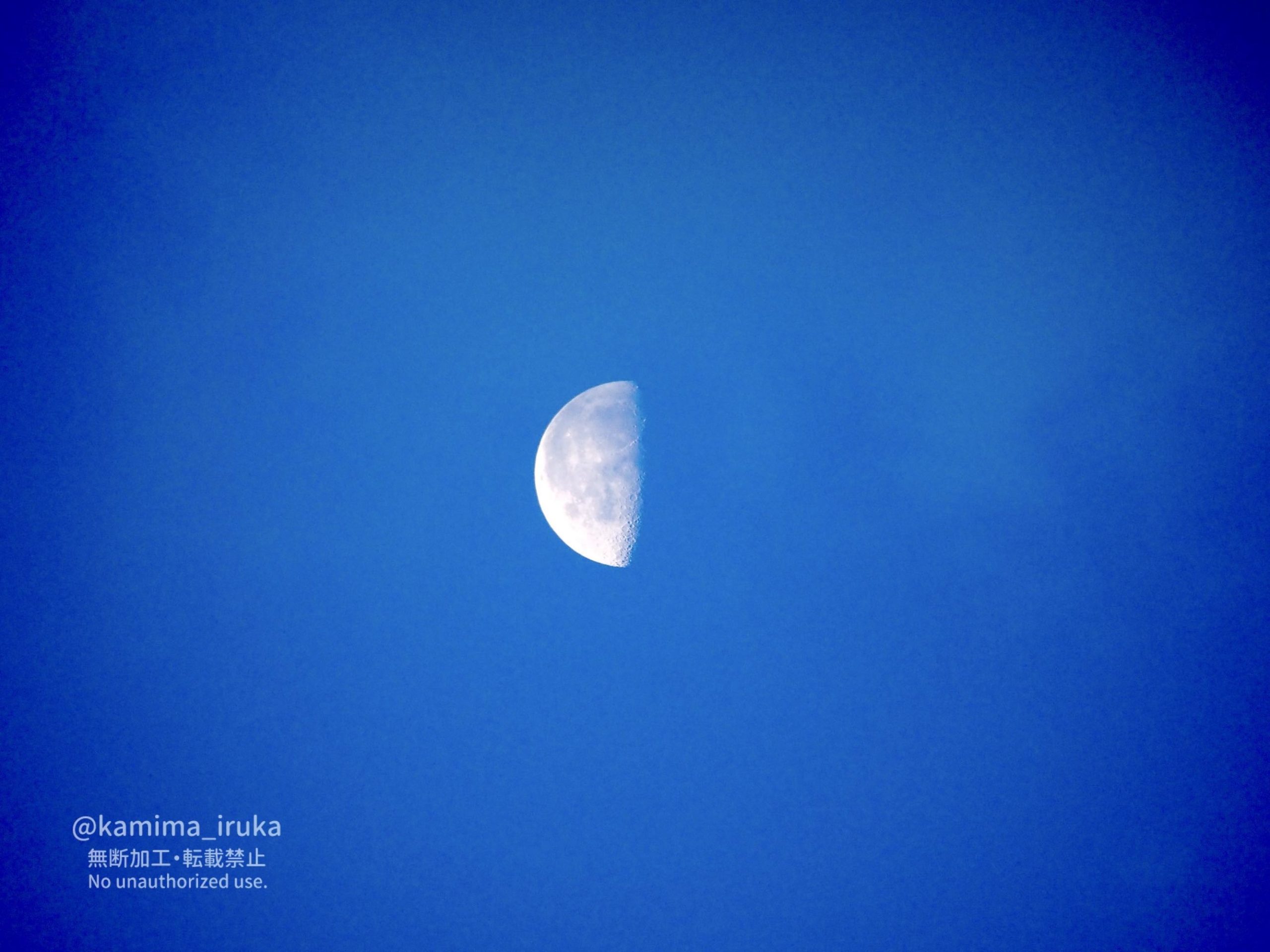 2025/01/21 あささんぽ