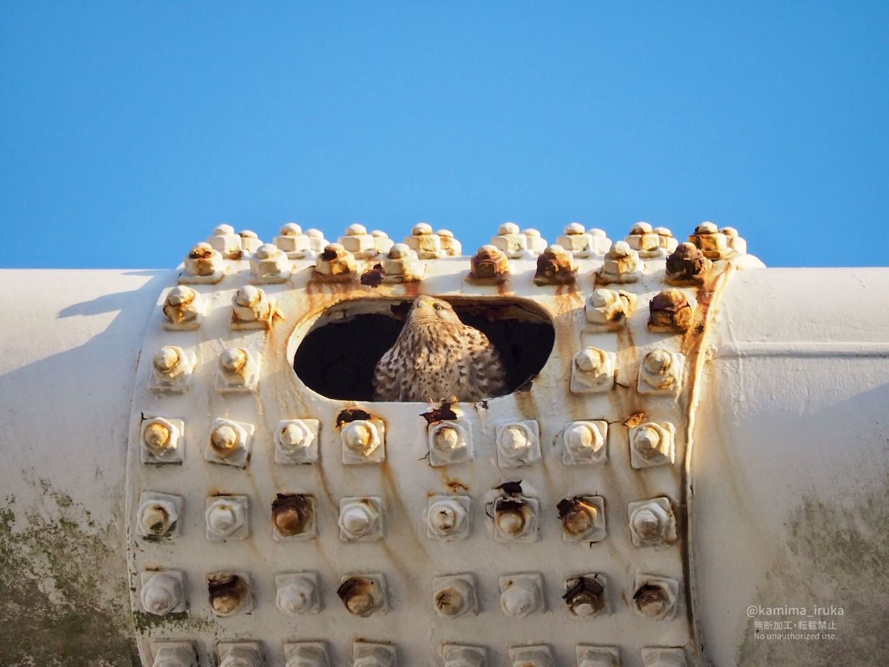 2025/02/13 あささんぽ