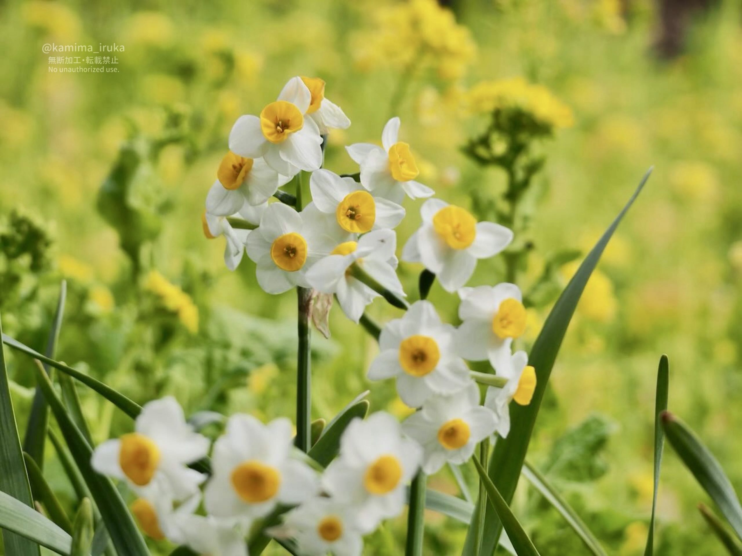 2025/02/16 おさんぽ