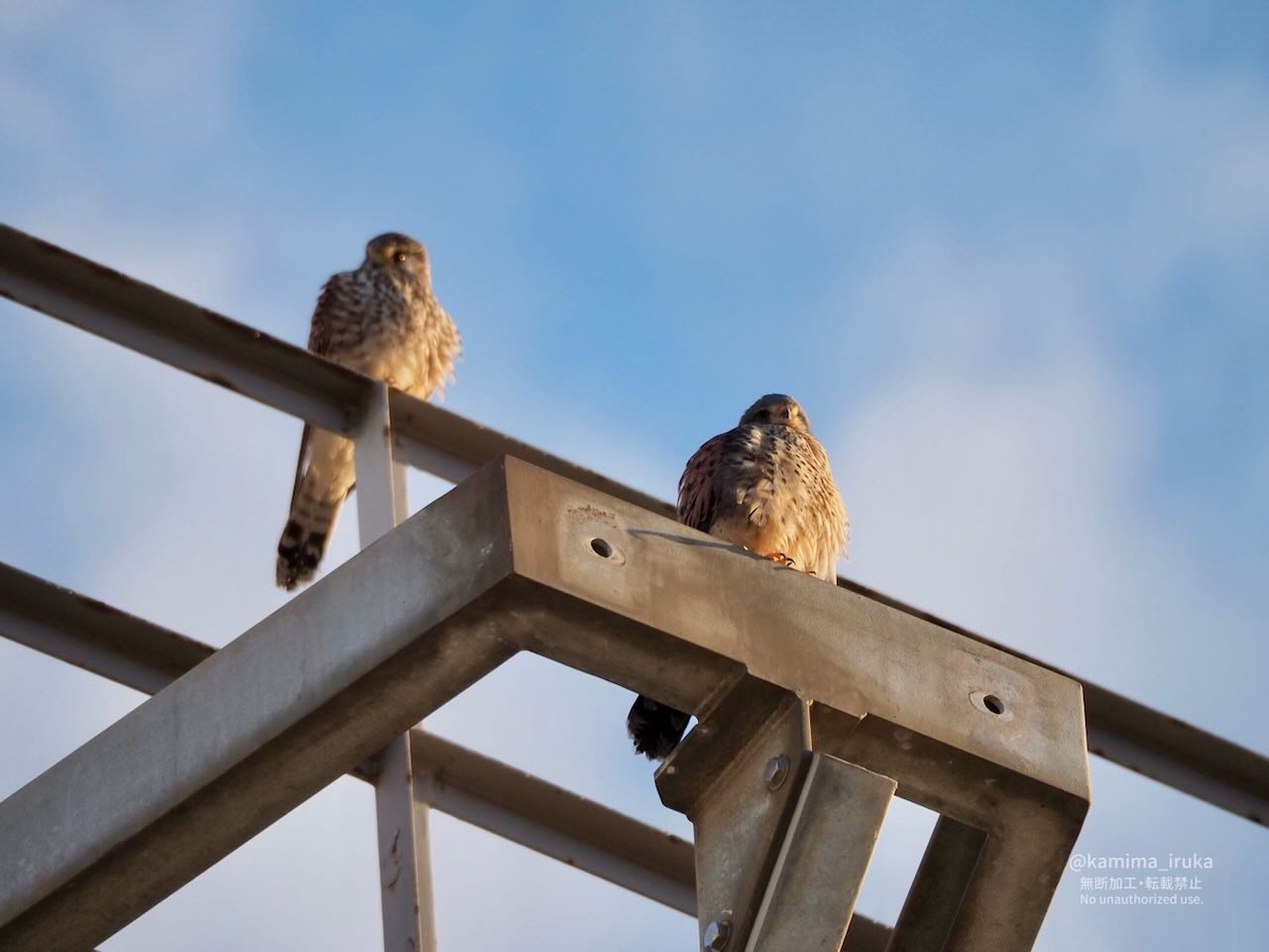 2025/02/22 あささんぽ