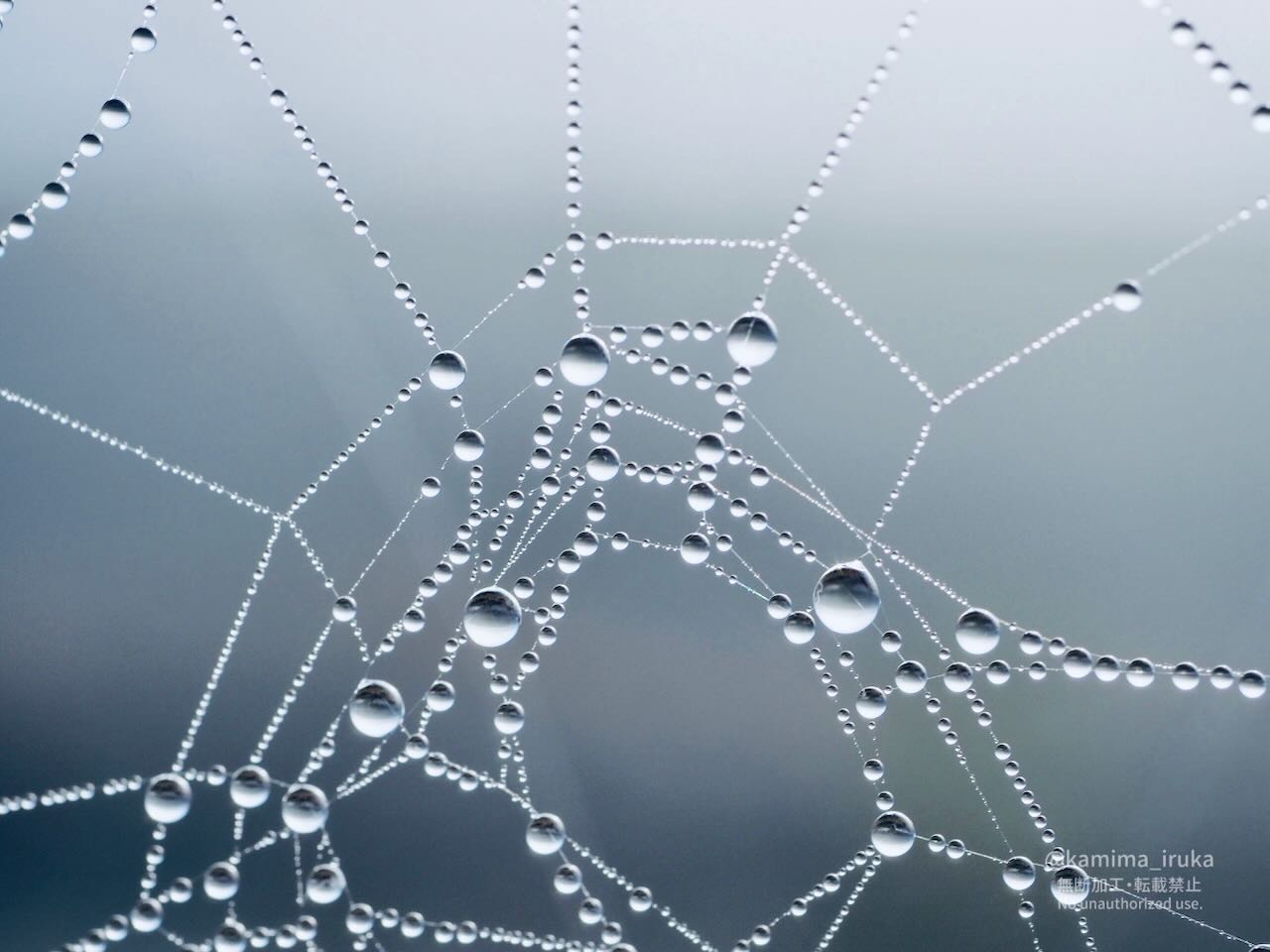 2025/03/13 あささんぽ