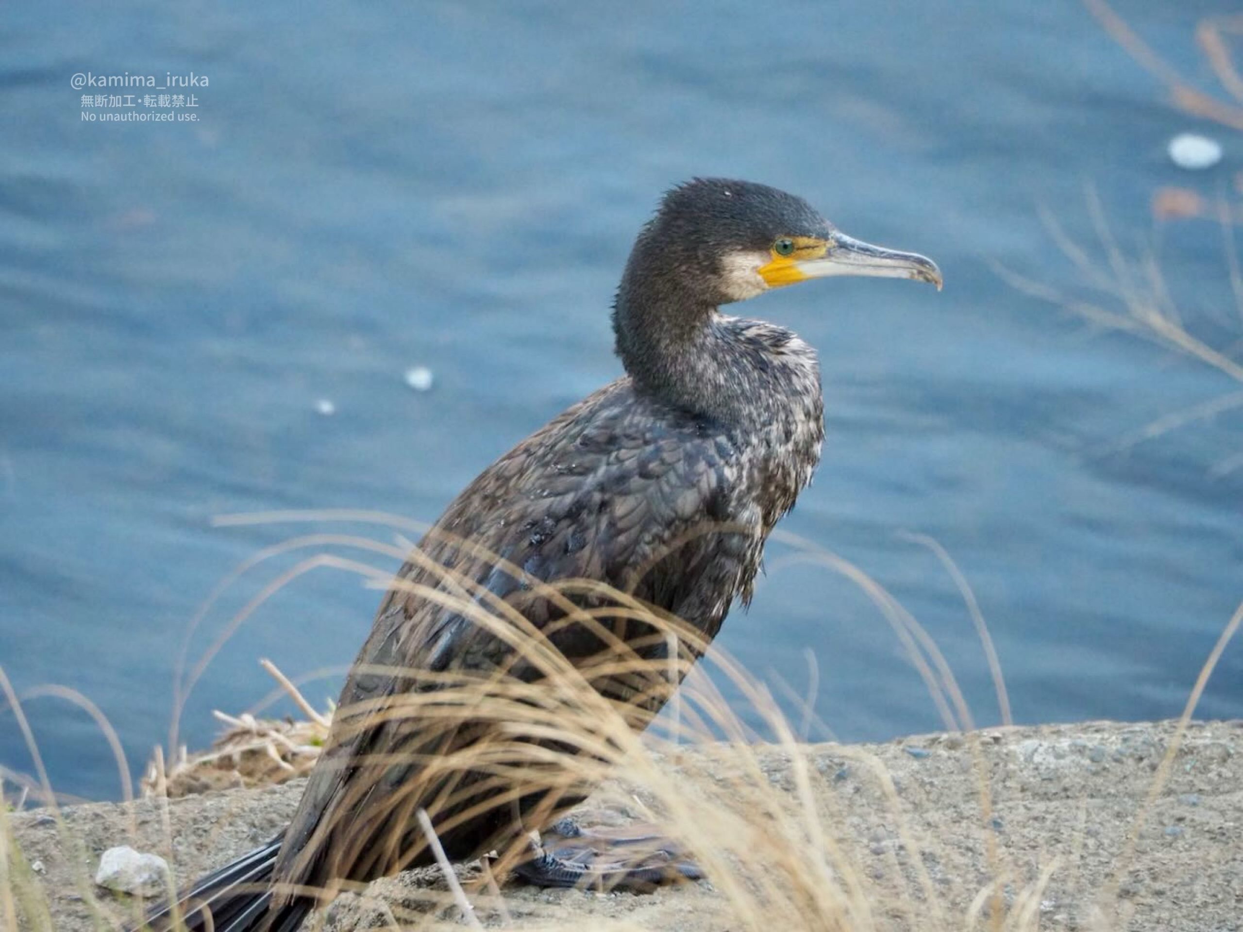 2025/02/23 あささんぽ