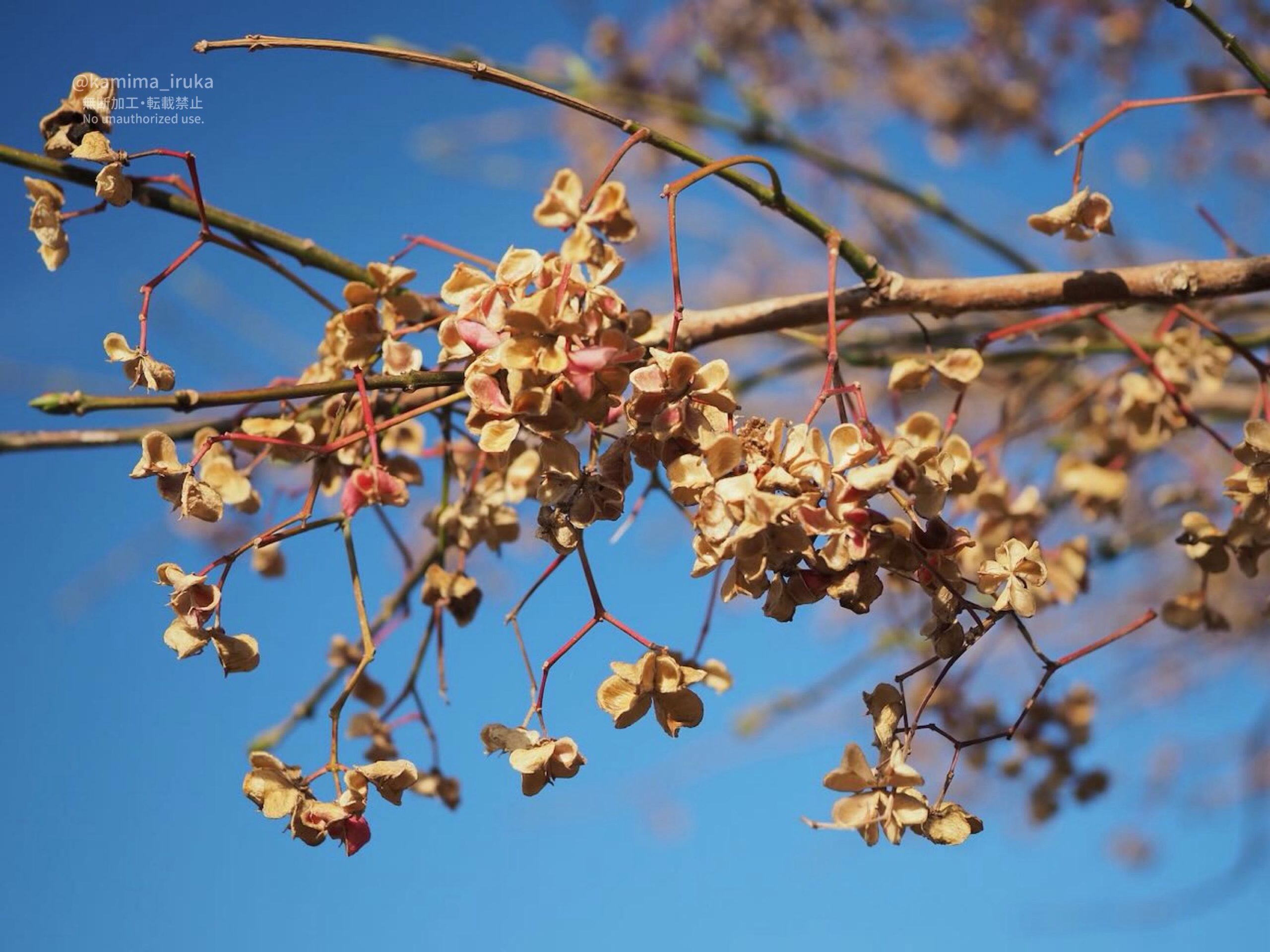 2025/02/24 あささんぽ