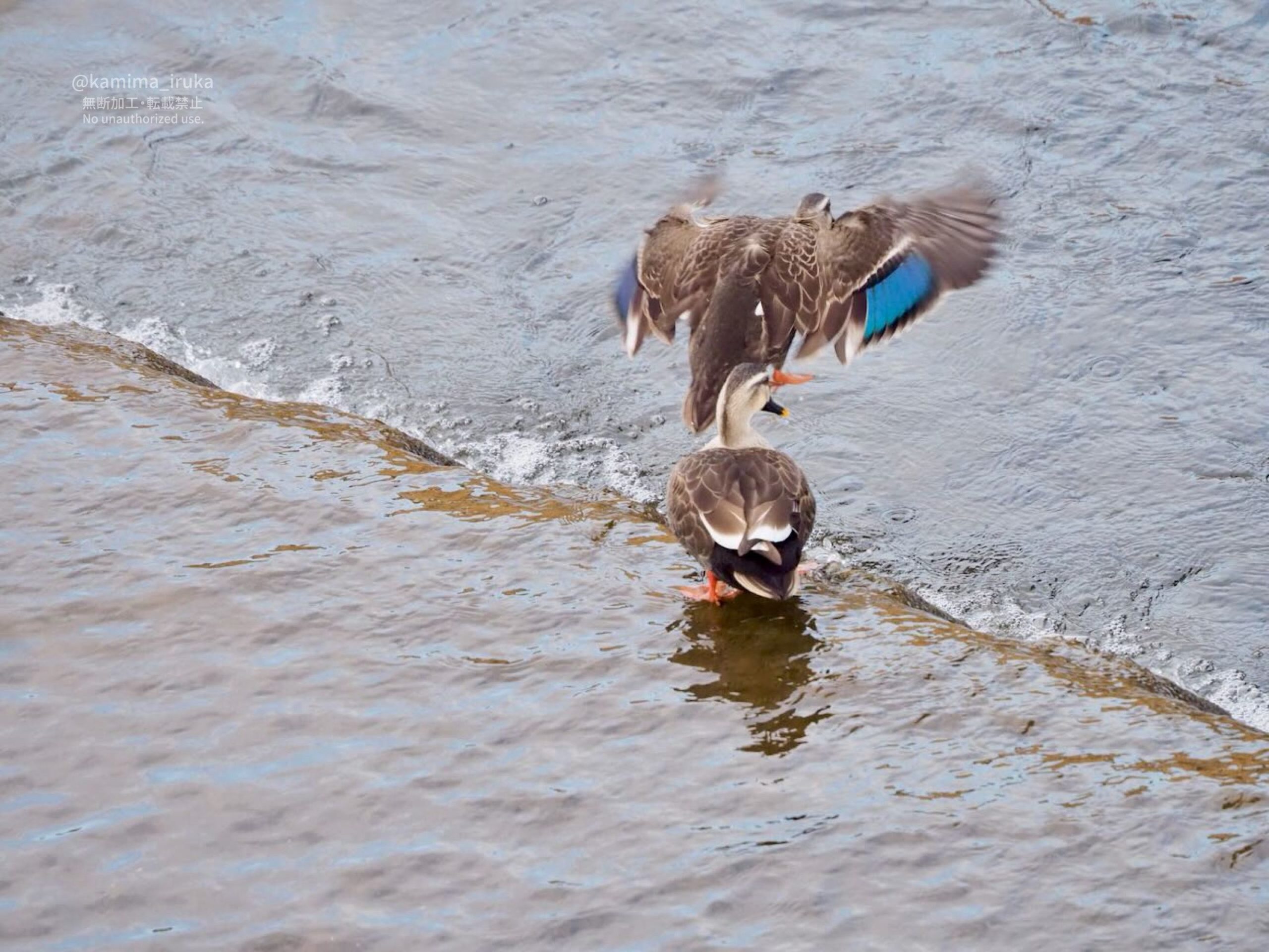 2025/02/28 あささんぽ