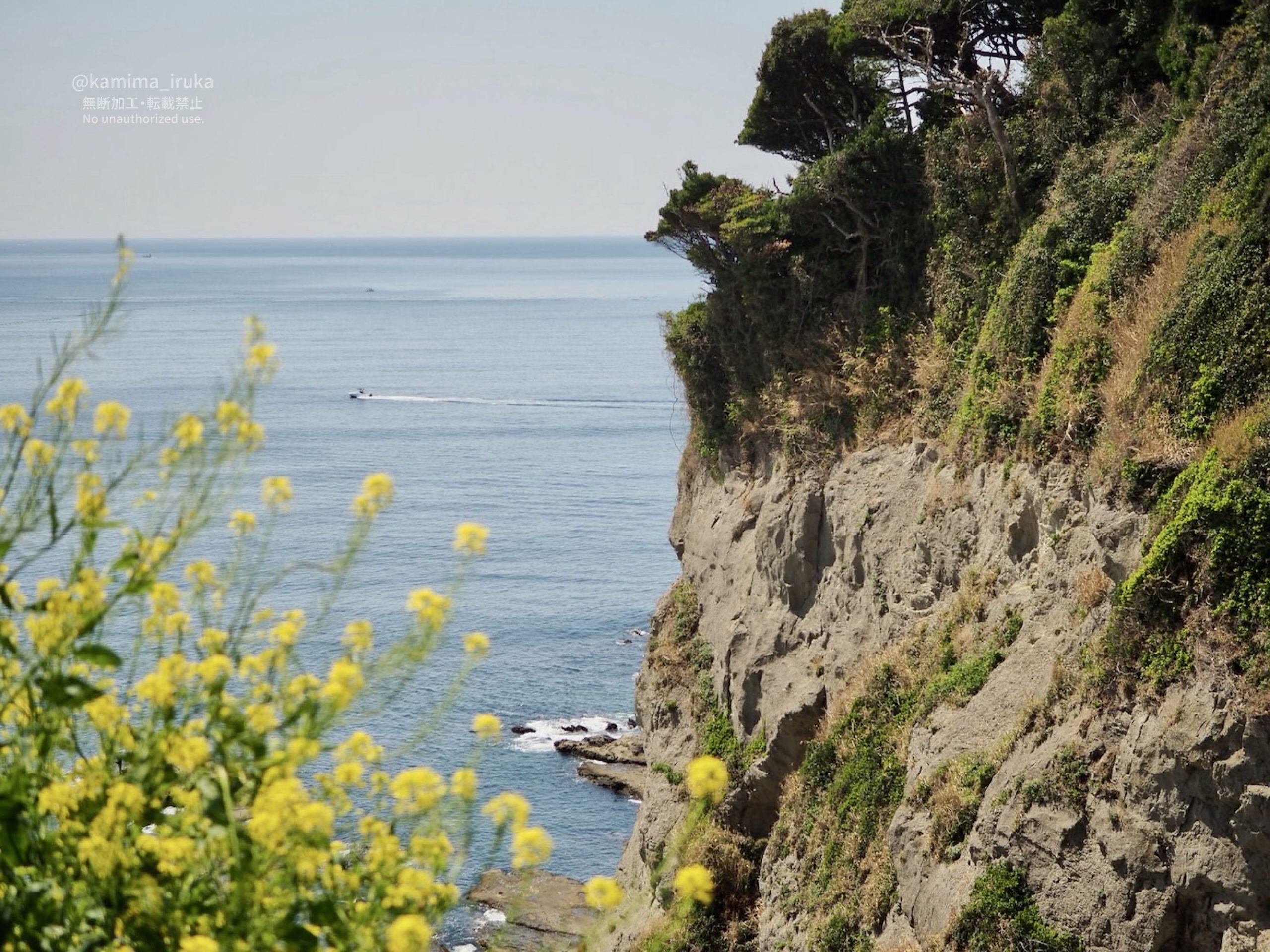 2025/04/09 江ノ島さんぽ