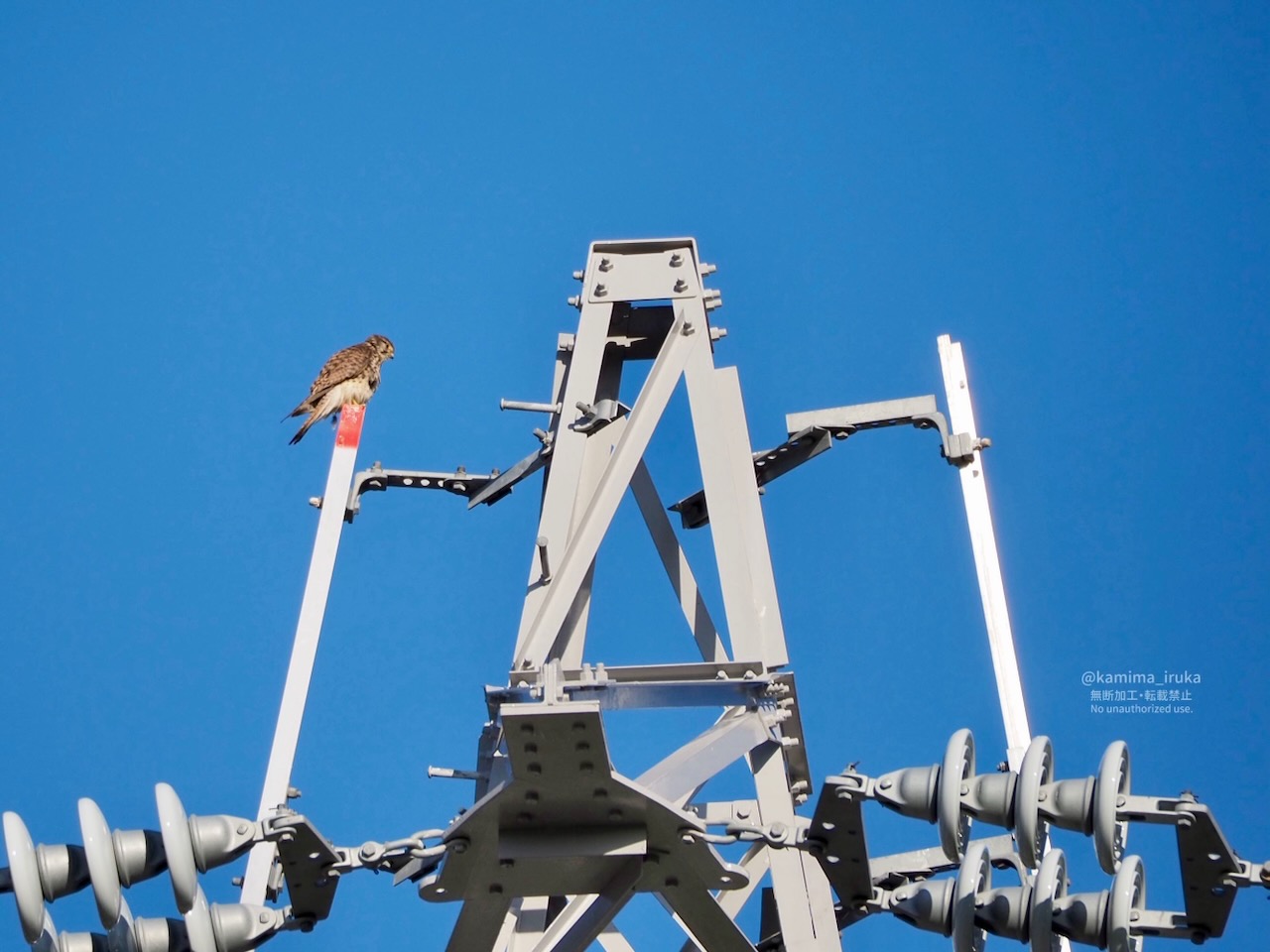 2025/05/03 あささんぽ