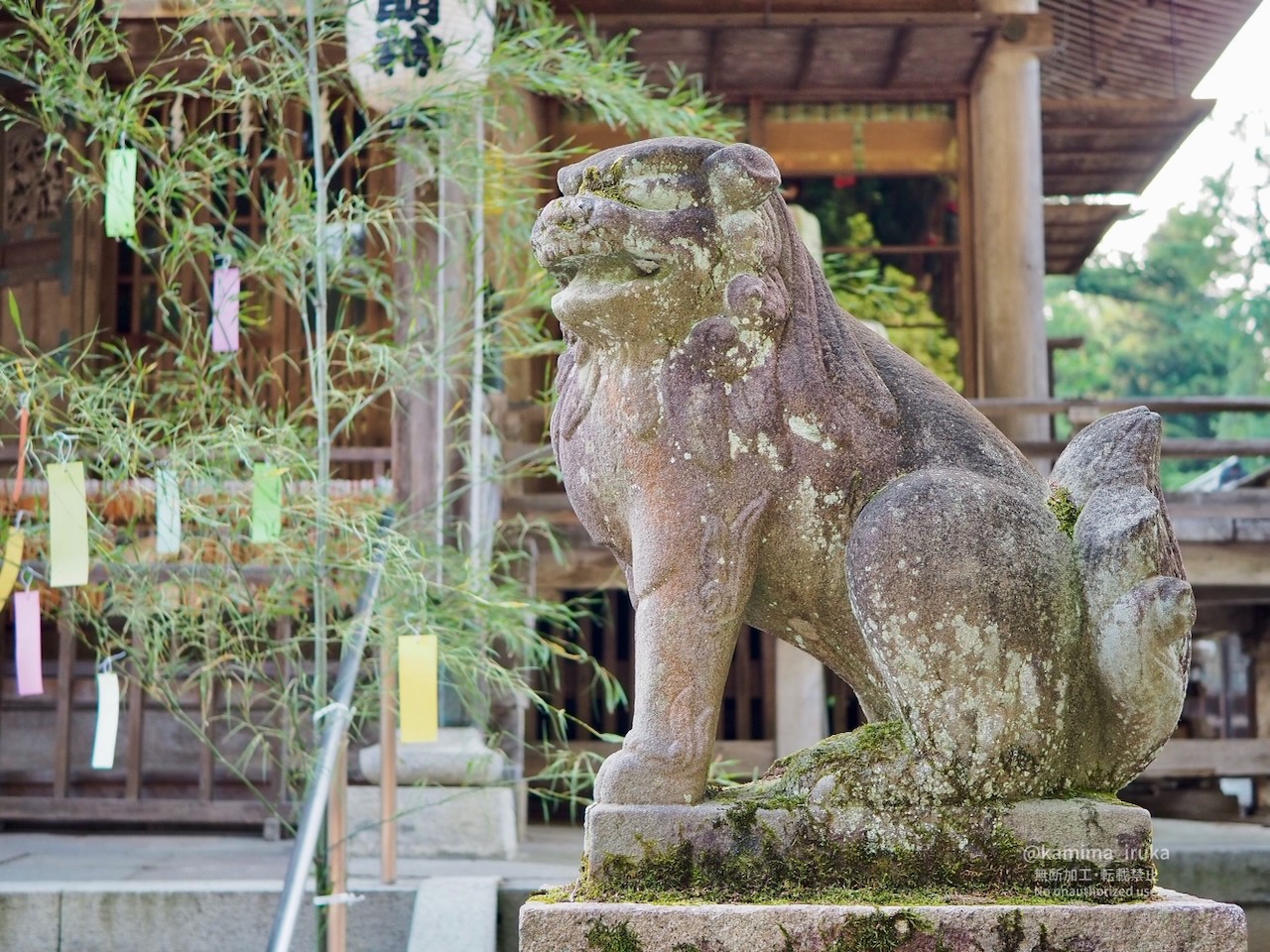 2025/06/20 あささんぽ