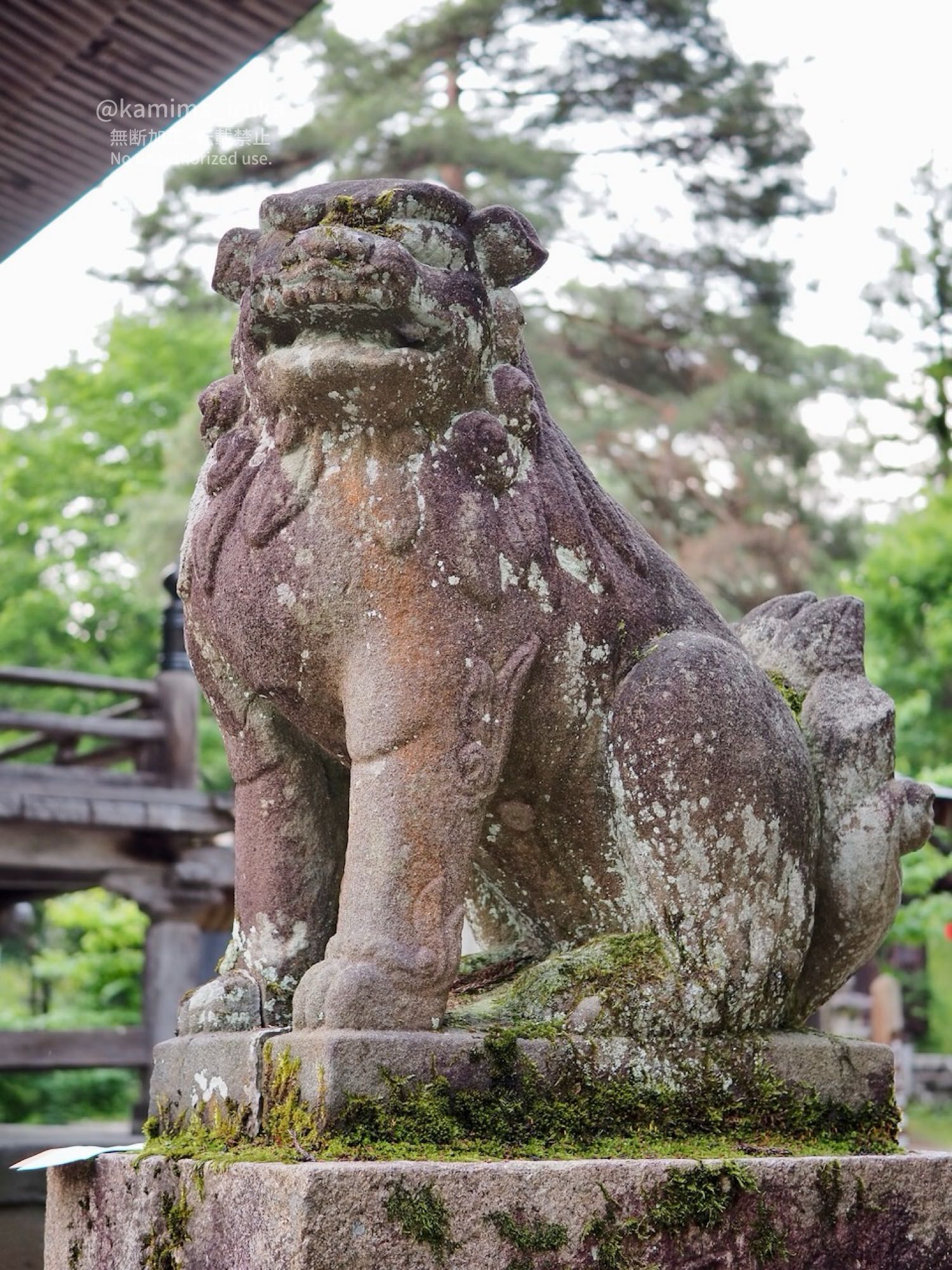 2025/06/12 あささんぽ