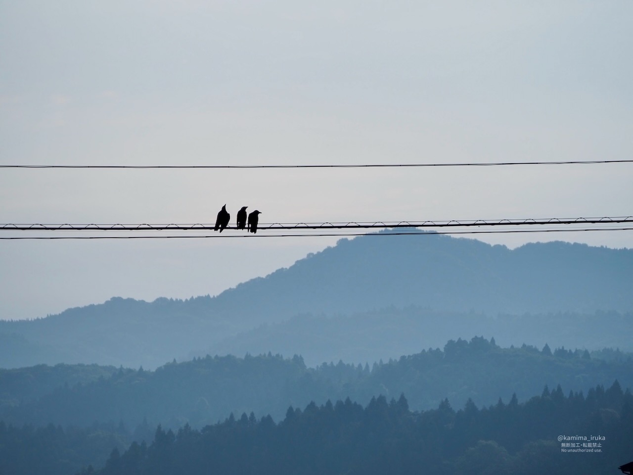 2025/07/01 あささんぽ