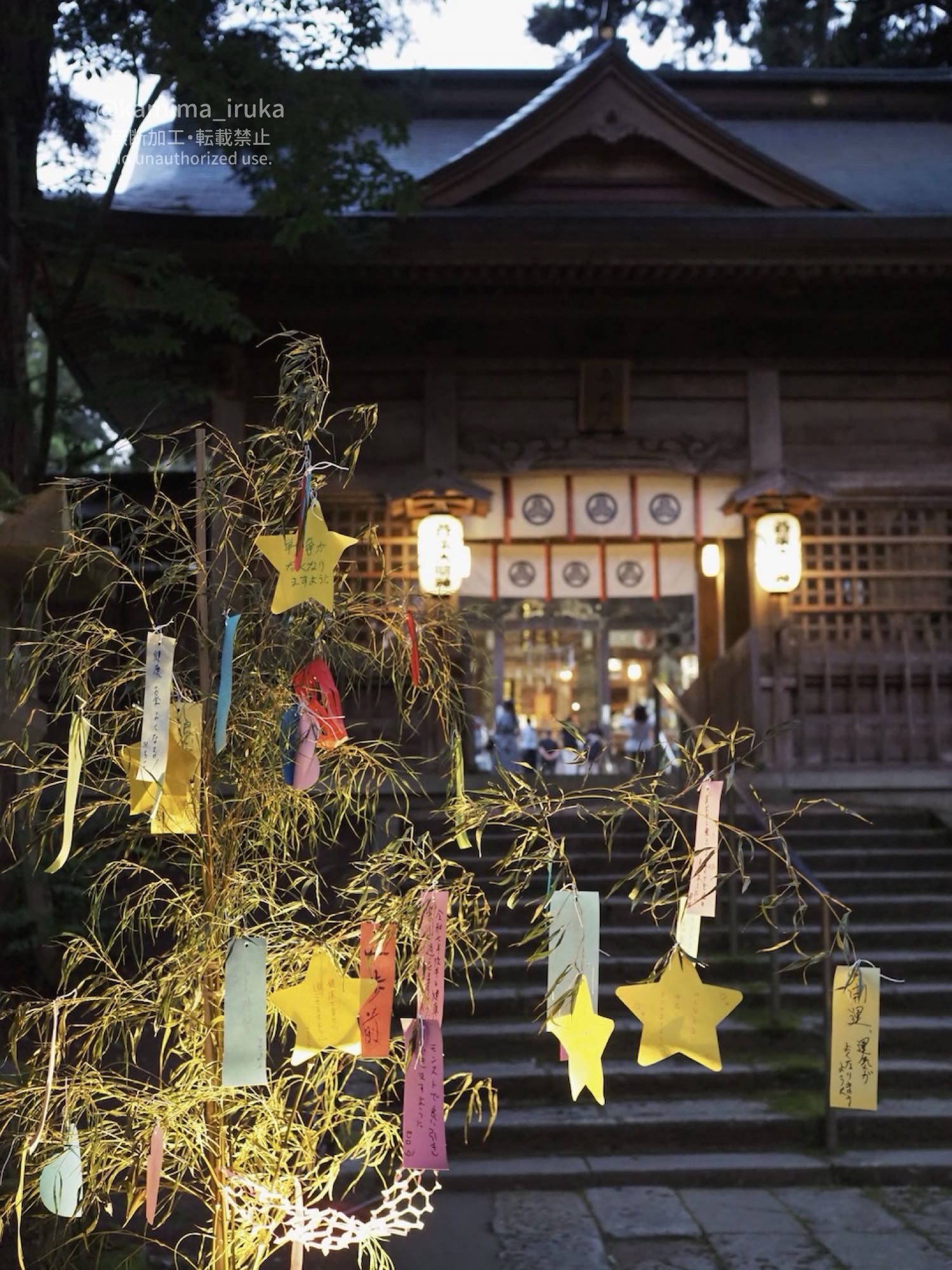 2025/07/07 ゆうがたさんぽ（七夕Ver）