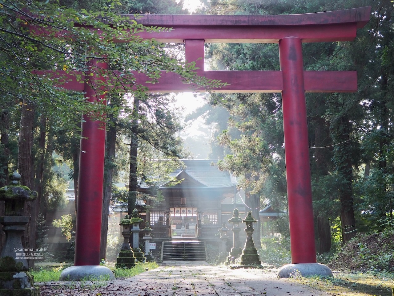 2025/08/22 あささんぽ