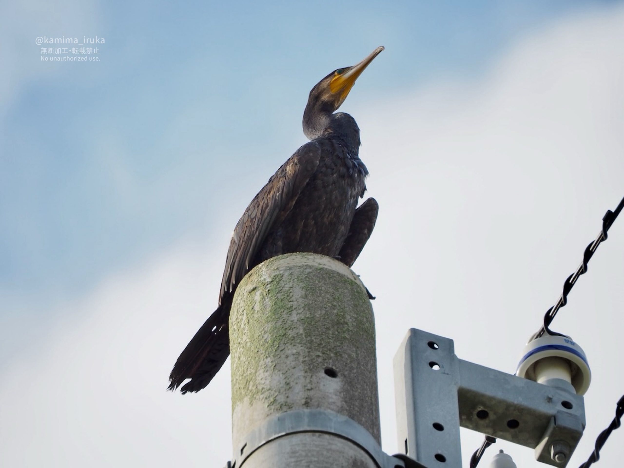 2025/09/09 あささんぽ