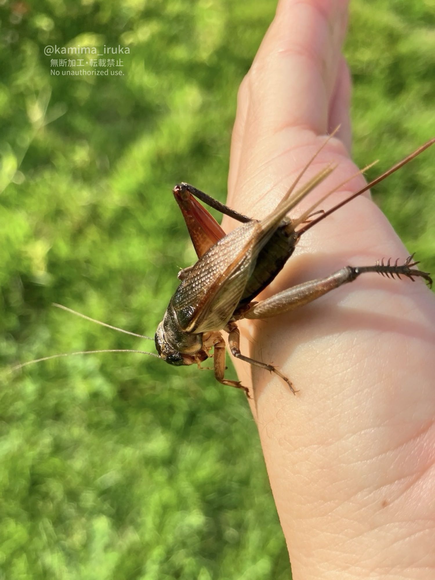 2025/09/20 あささんぽ