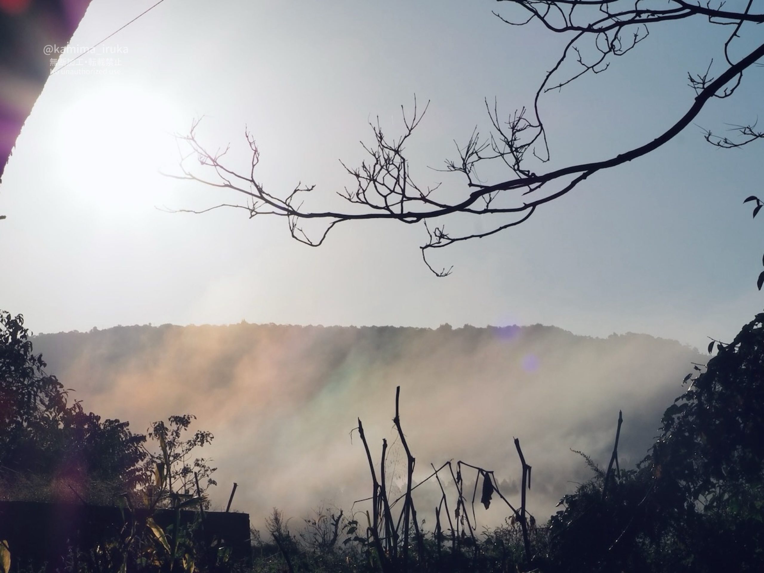 2025/11/04 あささんぽ