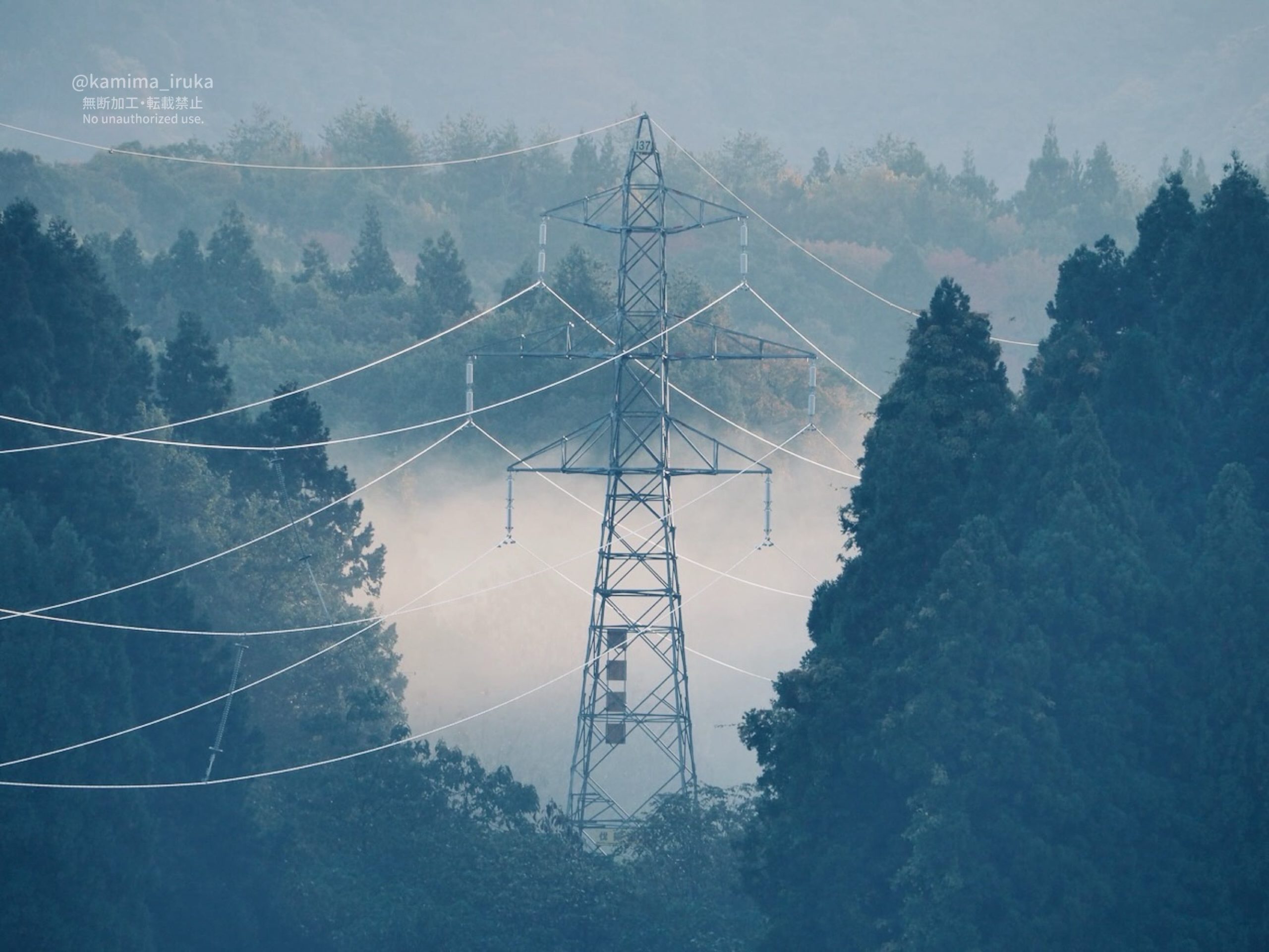 2025/11/12 あささんぽ