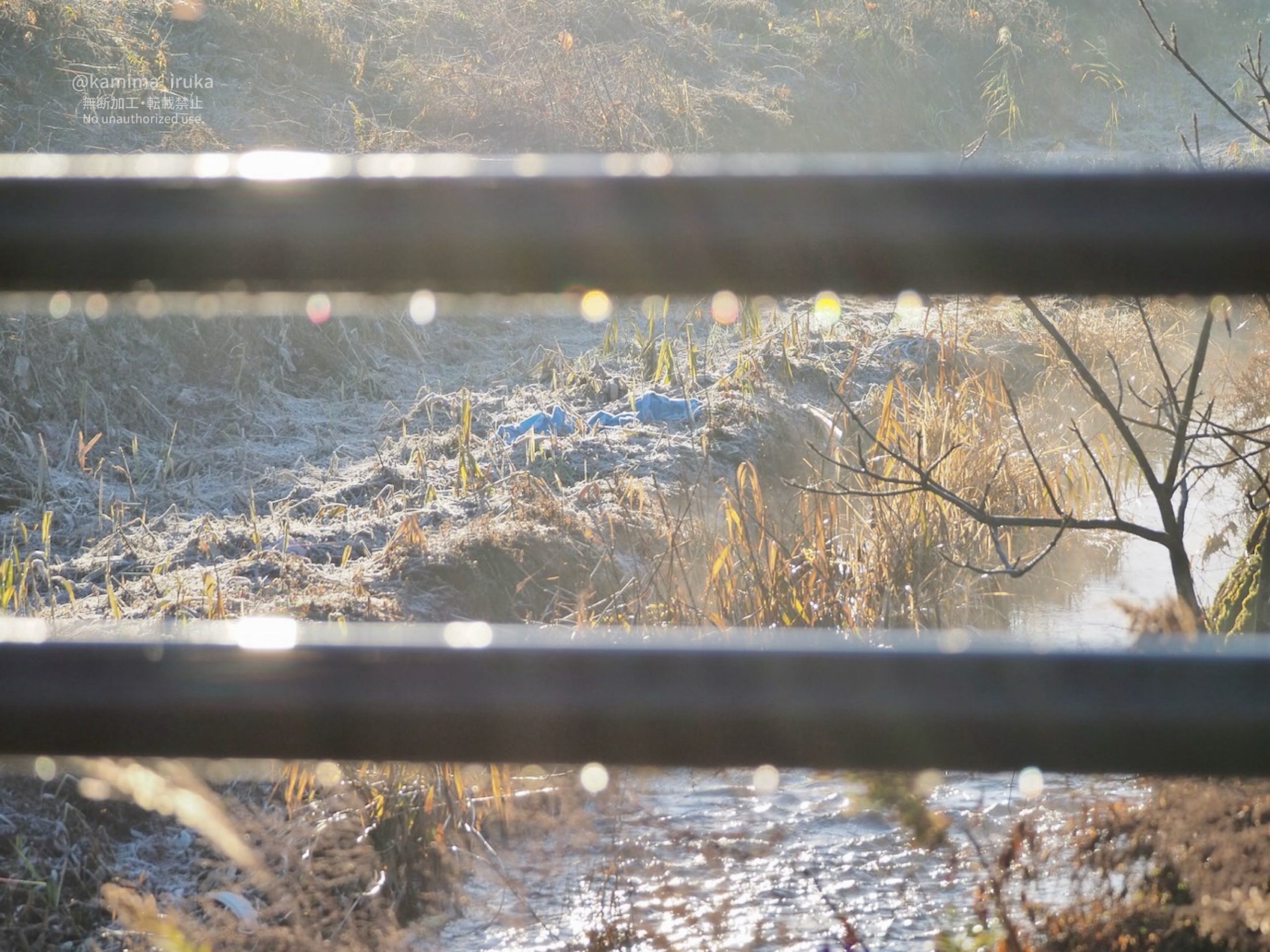 2025/12/20 あささんぽ