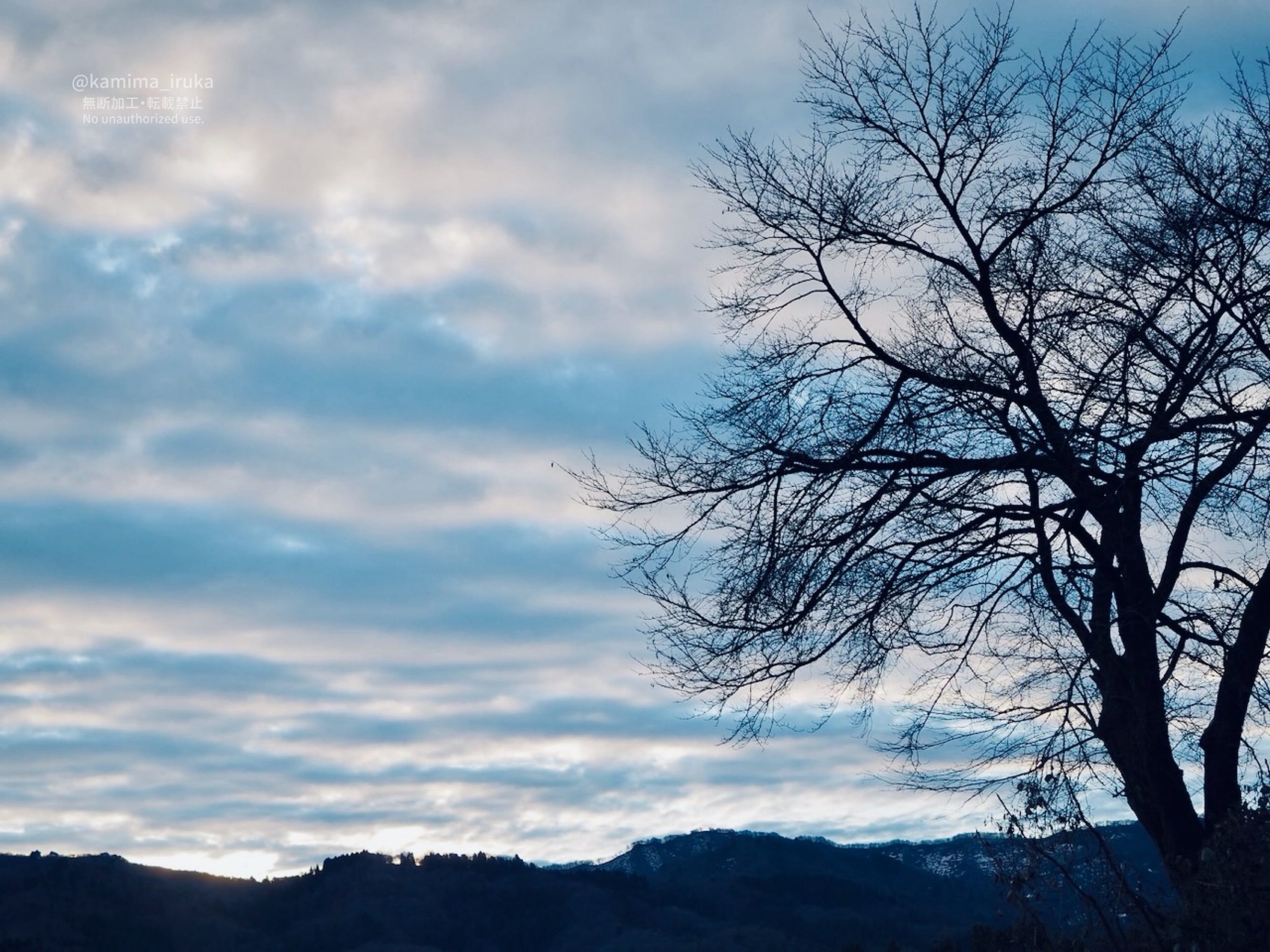 2025/12/21 あささんぽ