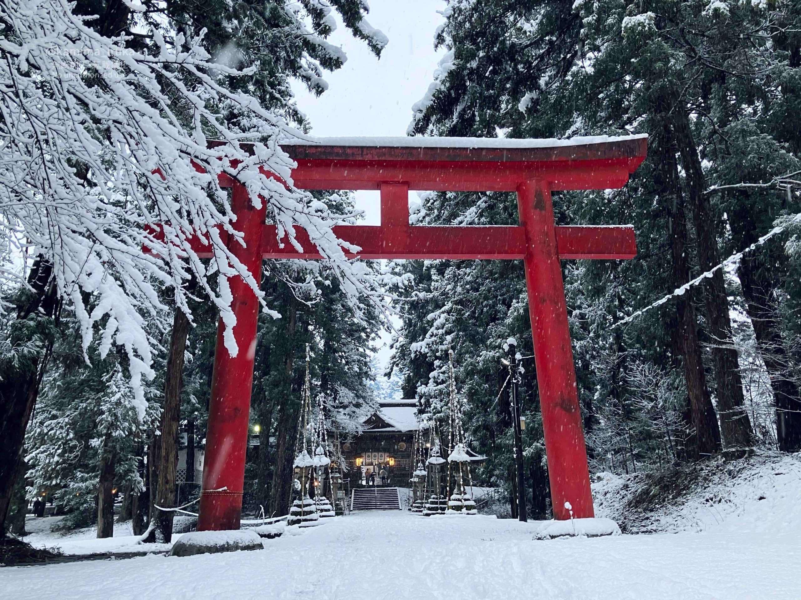 2026/01/01 初詣さんぽ