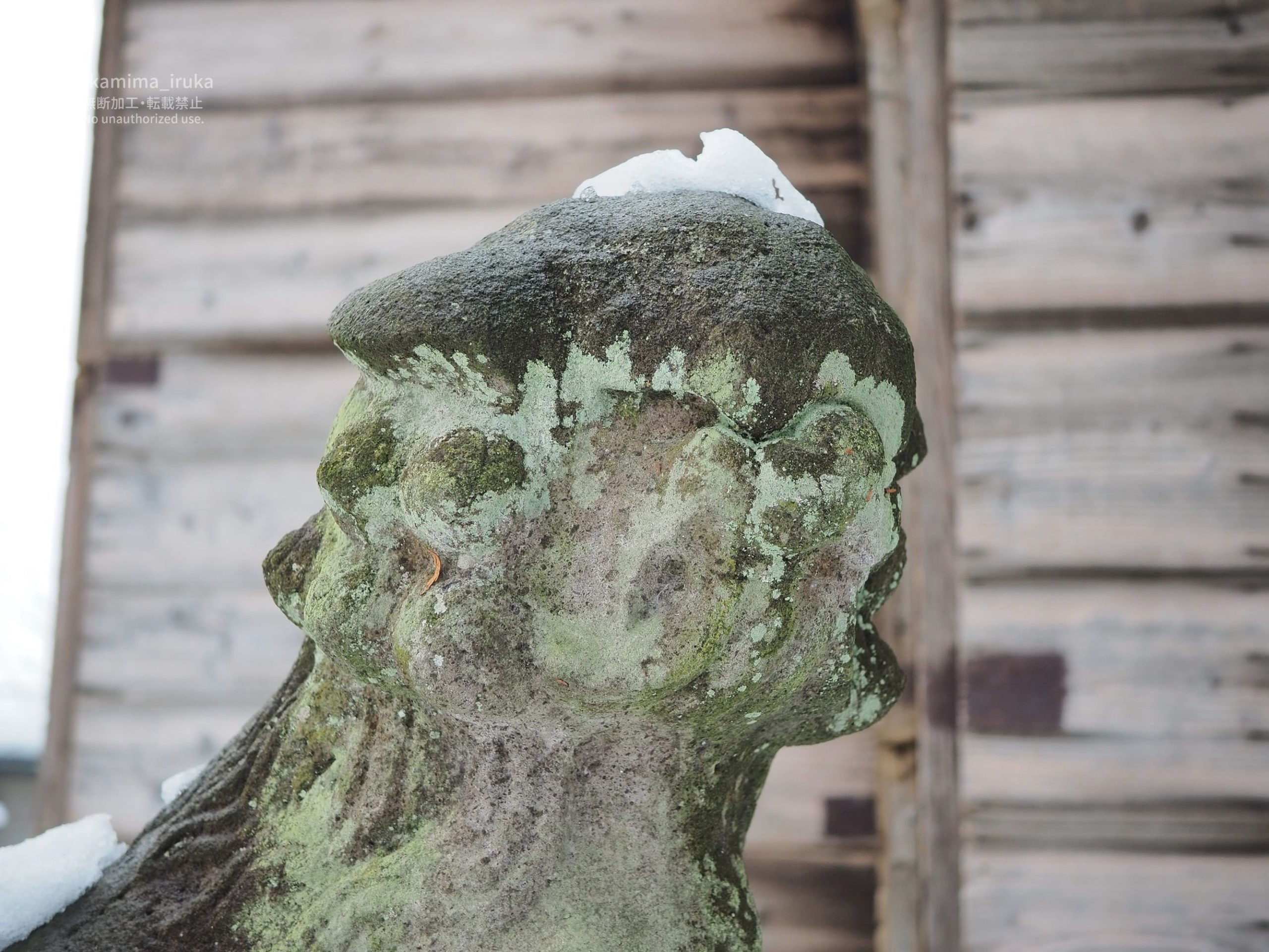 2025/01/07 あささんぽ