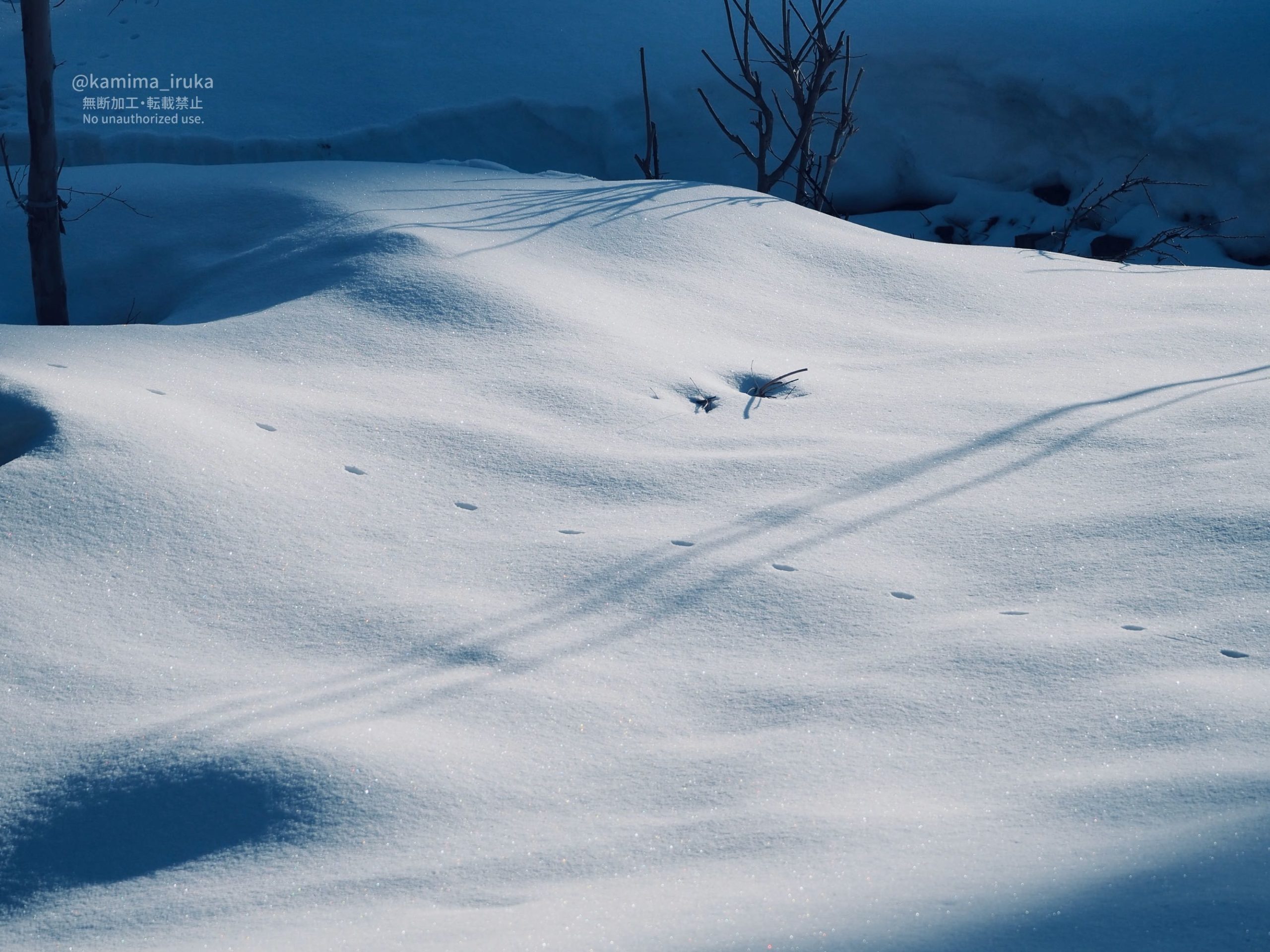 2026/02/20 あささんぽ 2026/02/20 あささんぽ
